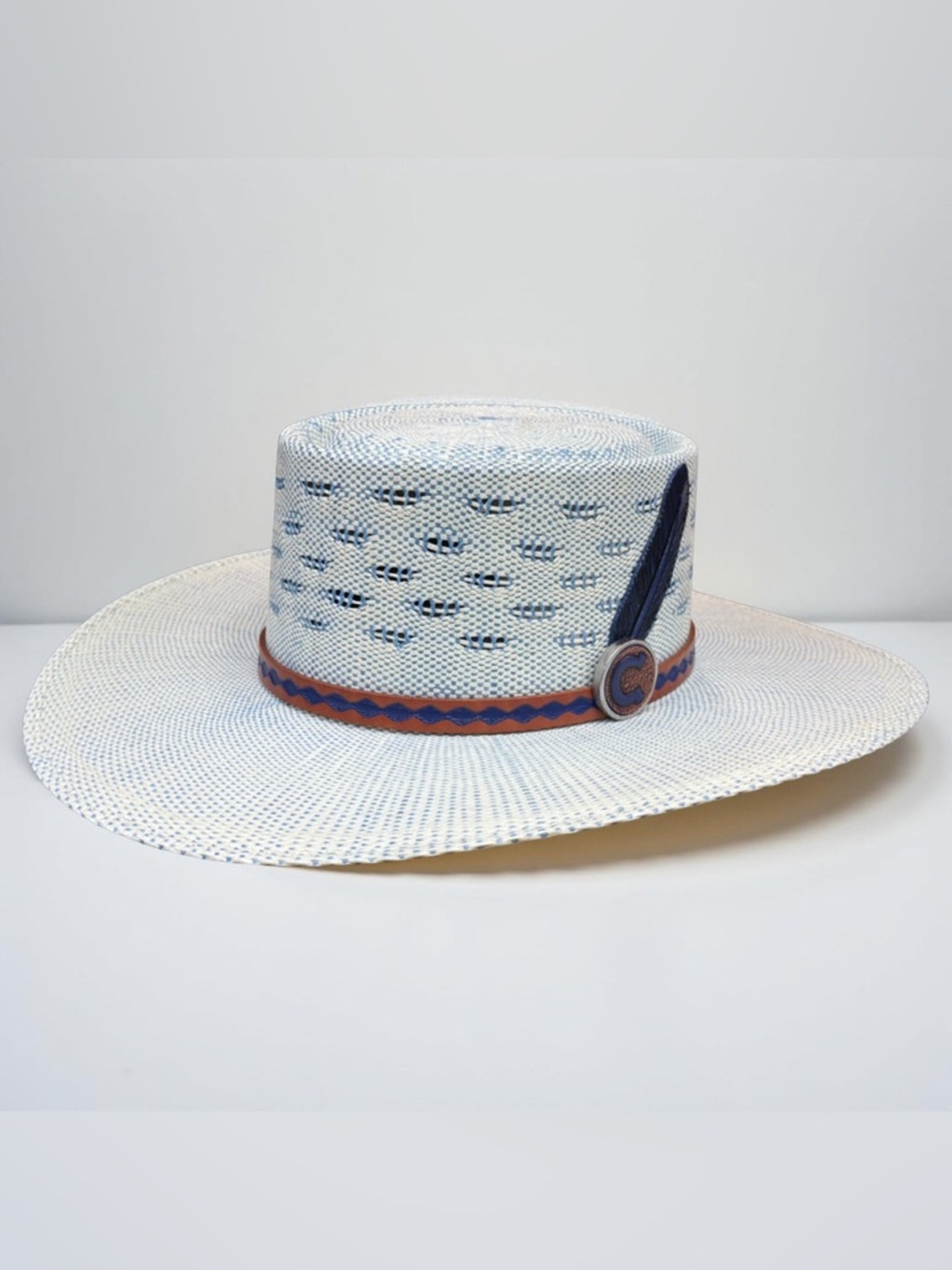 CHARLIE 1 HORSE BLUE ROAN WESTERN HAT EUC